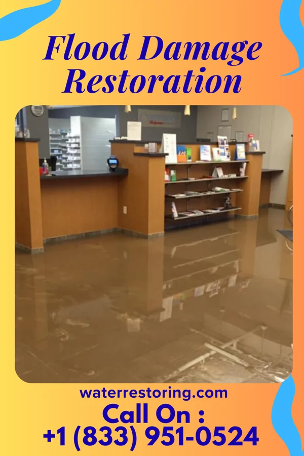 Flood Damage Restoration in Winnebago, NE