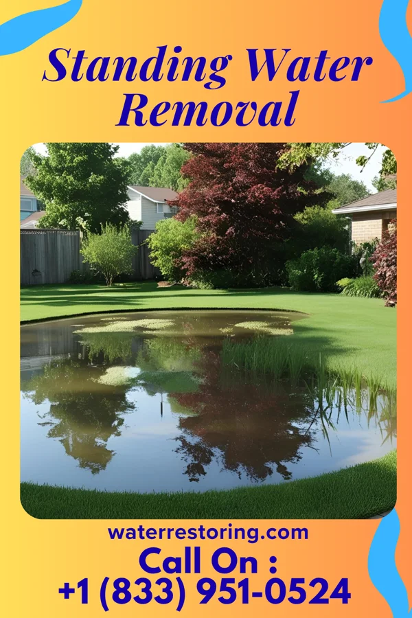 Standing Water Removal in Winnebago, NE
